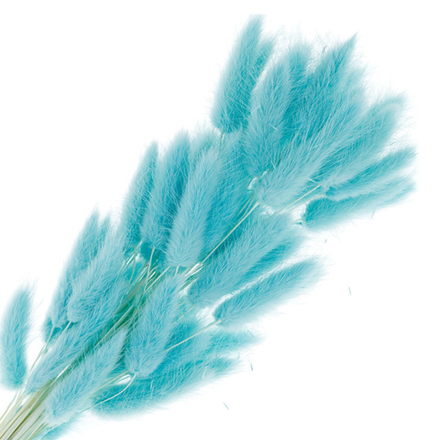 Сухоцветы ЛАГУРУС 65см 34гр МЯТА