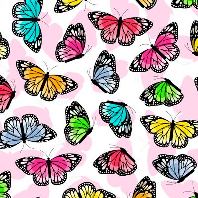 Яркие разноцветные бабочки