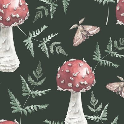 Акварельные мухоморы, папоротник и бабочка на черном фоне