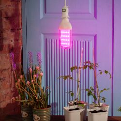 LED-B82-12W-SPBR-E27-CL PLP33WH Лампа светодиодная для растений. Форма DOUBLESIDE. прозрачная. Спектр для рассады и досвечивания в период роста. Картон. ТМ Uniel