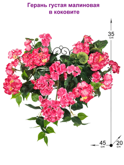 Герань густая малиновая 35см в настенной коковите