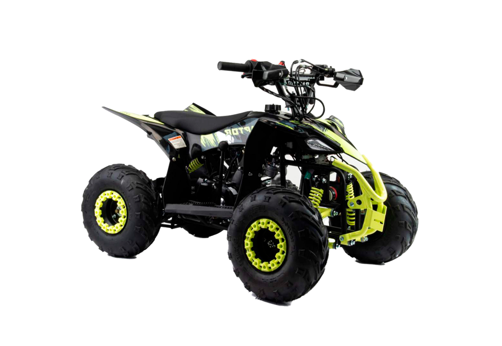Квадроцикл Motoland (п) 110 RAPTOR