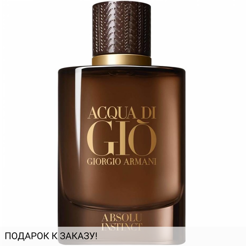 Giorgio Armani Acqua di Gio Absolu Instinct