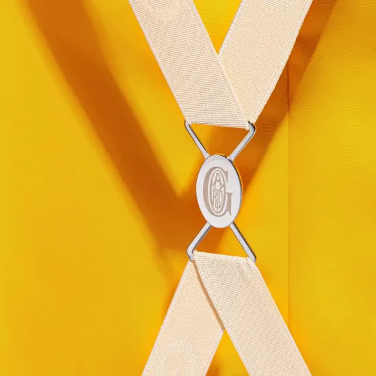 Чемодан Goyard Bourget PM