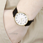 Мужские наручные часы Festina F16478/1