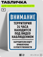 Табличка для частной территории "Внимание, территория находится под видеонаблюдением", на дом, для участка, организаций, предупреждающая, 40х30 см, Silver Plane x Айдентика Технолоджи