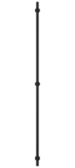 Сунержа Аскет 1650