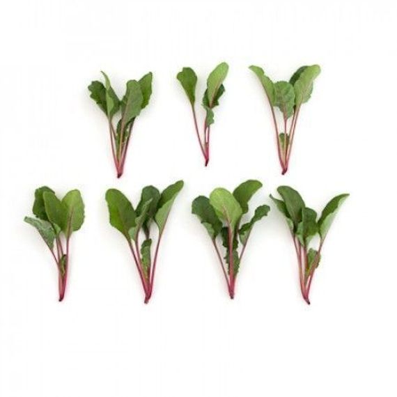 ЧАРЛИ F1 семена свеклы Rijk Zwaan отзывы