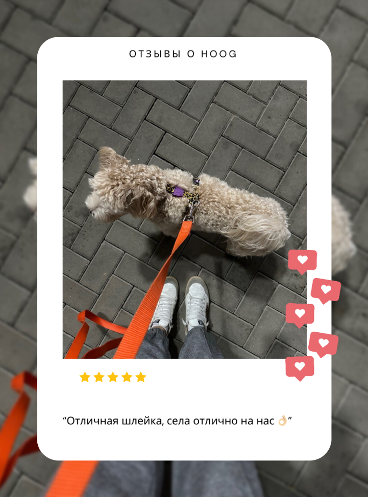 Холдер с гигиеническими пакетами Zee.Dog