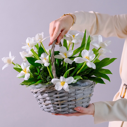 Композиция с белыми тюльпанами #200