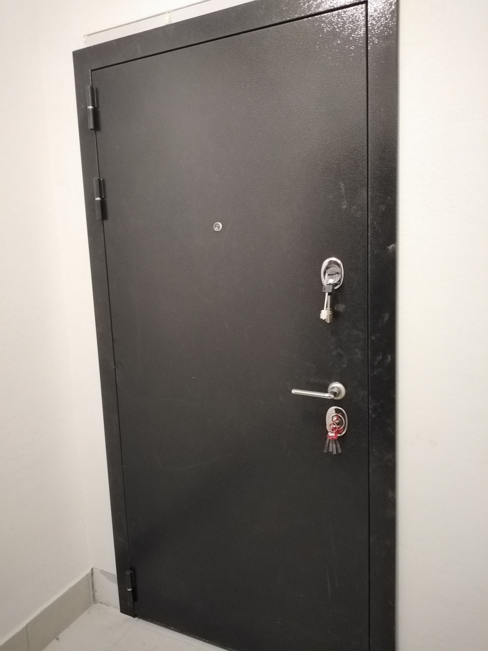 Входная металлическая дверь в квартиру Рекс Сильвер антик серебро / ФЛ-243 Беленый дуб