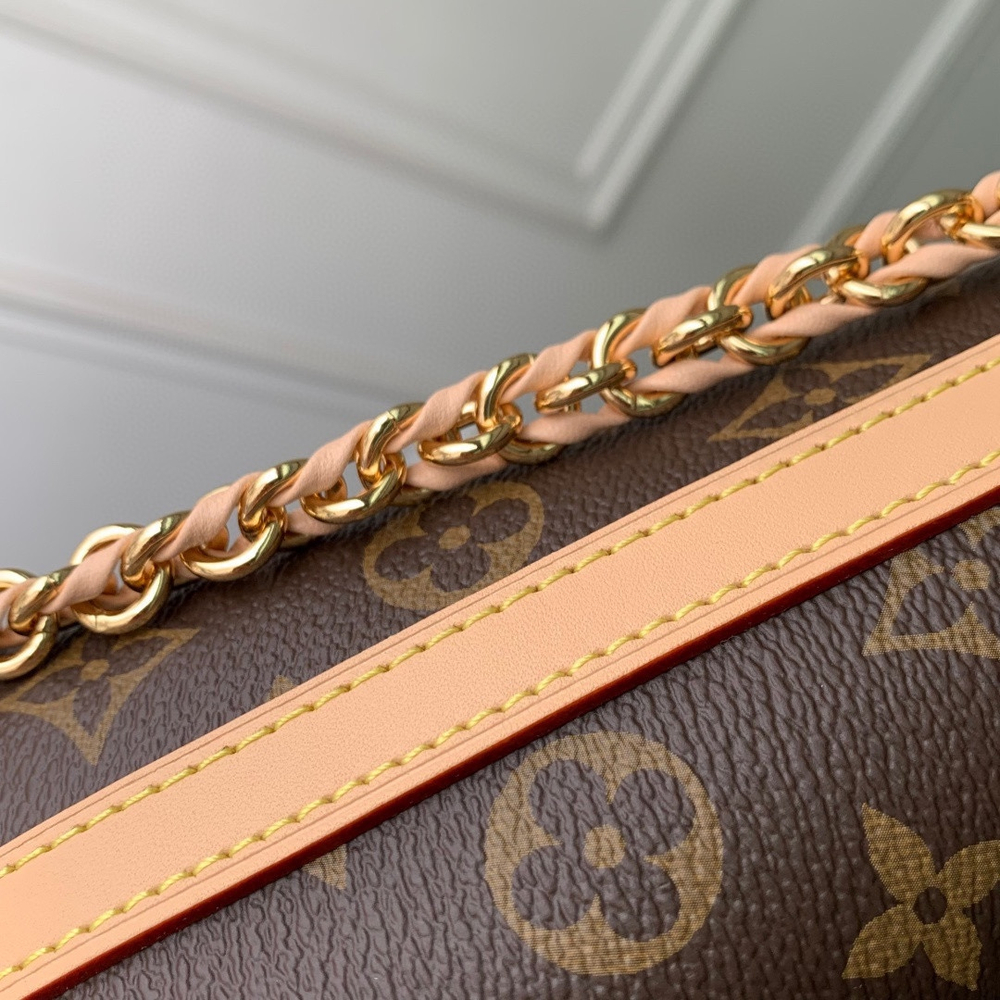 Louis Vuitton Multipass