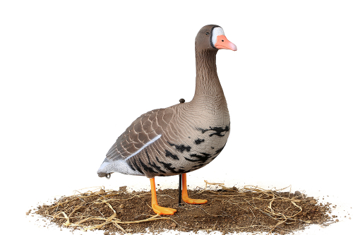 Белолобый гусь Softplast 3D мод. B10S-3D