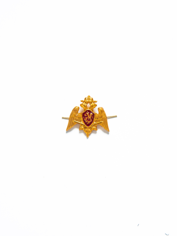 Эмблема Росгвардия золотая с эмалью (3)