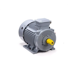 Электродвигатель ESQ PR 315 M6 GST-Б1-S32-IE2 132/1000 IM1001
