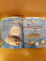 My Encyclopedia of Very Important Things: For Little Learners Who Want to Know Everything