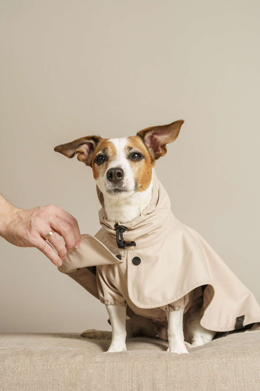 Дождевик "Пони-парасоли v.2" цвет бежевый