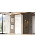 Шкаф для одежды распашной с полками 80х50,6х221,6 см ШК