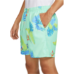 Шорты Nike, FQ0350-349