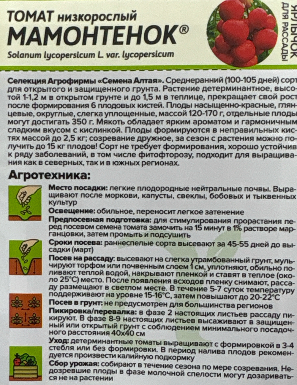 Томат Мамонтенок 5 шт СМТ-38