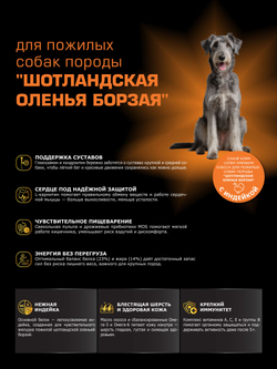 Корм сухой для пожилых собак породы Шотландская оленья борзая старше 5 лет, с индейкой, 12 кг, QUATTRO
