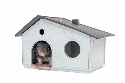 ДАРЭЛЕНД Домик для грызунов сборный (пластик), светло-серый