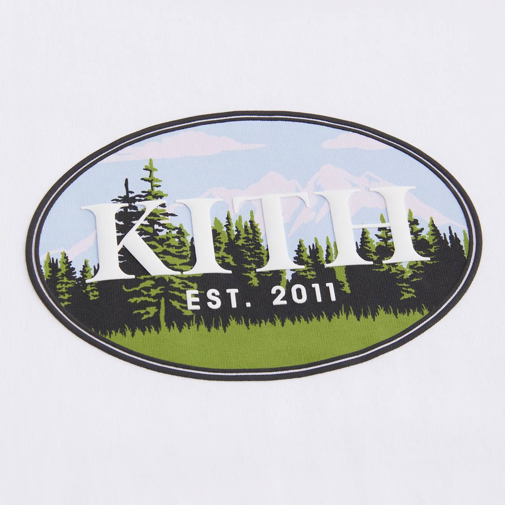 Футболка Kith Mountain Scene Tee White