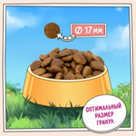 Сухой для собак ZILLII Dog Adult 15кг индейка и ягненок сухой для собак