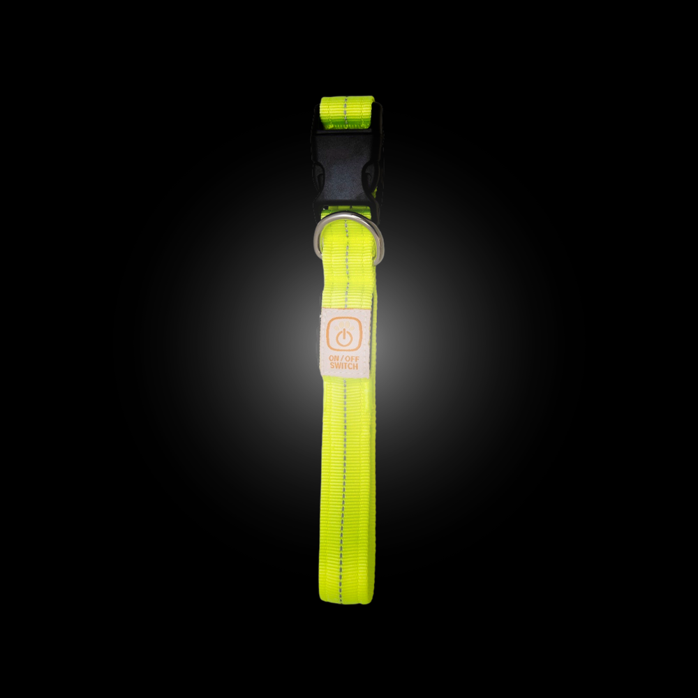 Ошейник для собак светящийся, светодиодная лента, желтый DUVO+
