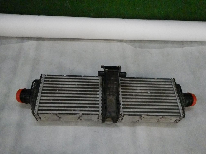 DSCN6615.jpg
