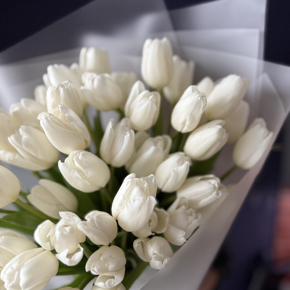 Букет из 49 белых тюльпанов