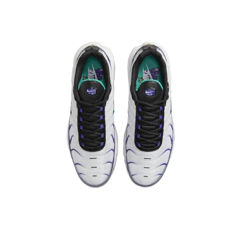 Мужские кроссовки Nike Air Max Plus 'Grape' DM0032‑100