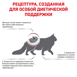 Royal Canin VET Early Renal - диета для кошек при ранней стадии почечной недостаточности