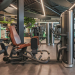 Сведение/Разведение ног INTENZA DEZIGN DL-13