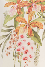 23578 Футболка женская (сливочный)