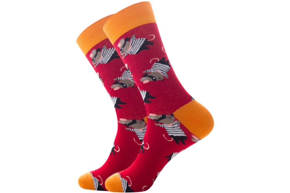 Носки мужские Funfur Fanta в наборе 5 пар