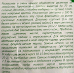 Эустома Эхо пикоти розовая 4 шт СМЦ-350