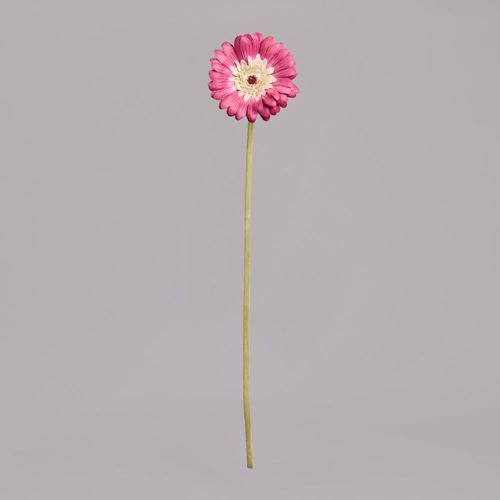 ЦВЕТОК ИСКУССТВЕННЫЙ "ГЕРБЕРА" ВЫСОТА=61СМ. (МАЛ=24 ШТ/КОР=96ШТ.)