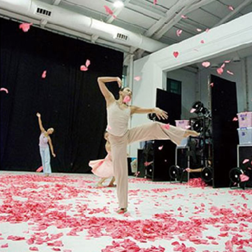 KUPO DF-500 DIGIFAN. Ветровая машина