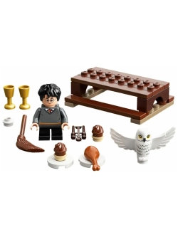 LEGO Harry Potter 30420 Harry Potter and Hedwig, 40 дет.