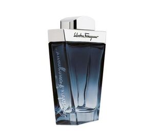 Salvatore Ferragamo Subtil Pour Homme