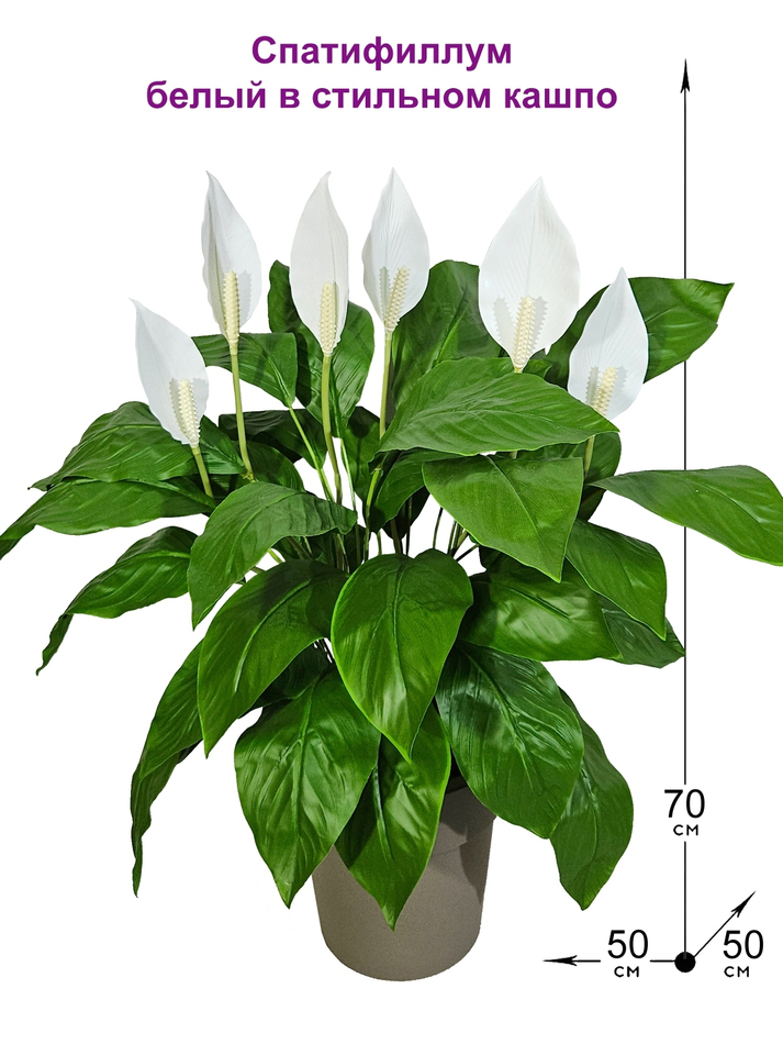 Искусственные цветы Спатифиллум белый в стильном кашпо