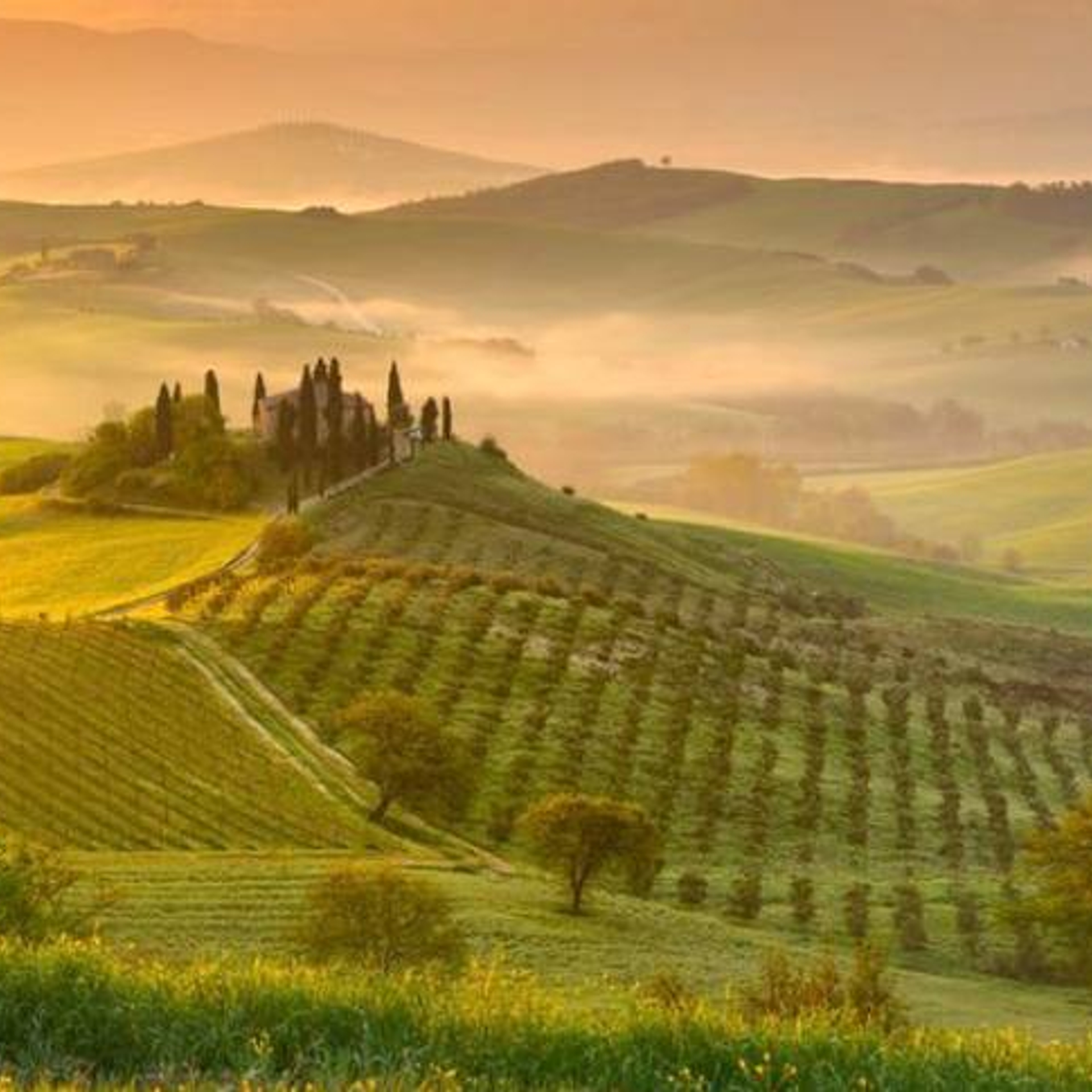 Получите визу легко!