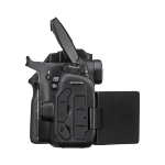 Зеркальный фотоаппарат Canon EOS 90D Body