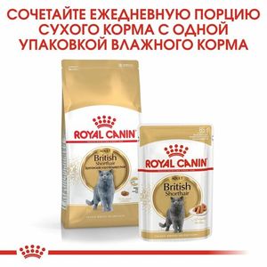 Пауч Royal Canin British Shorthair Adult для взрослых британских короткошерстных кошек, мелкие кусочки в соусе