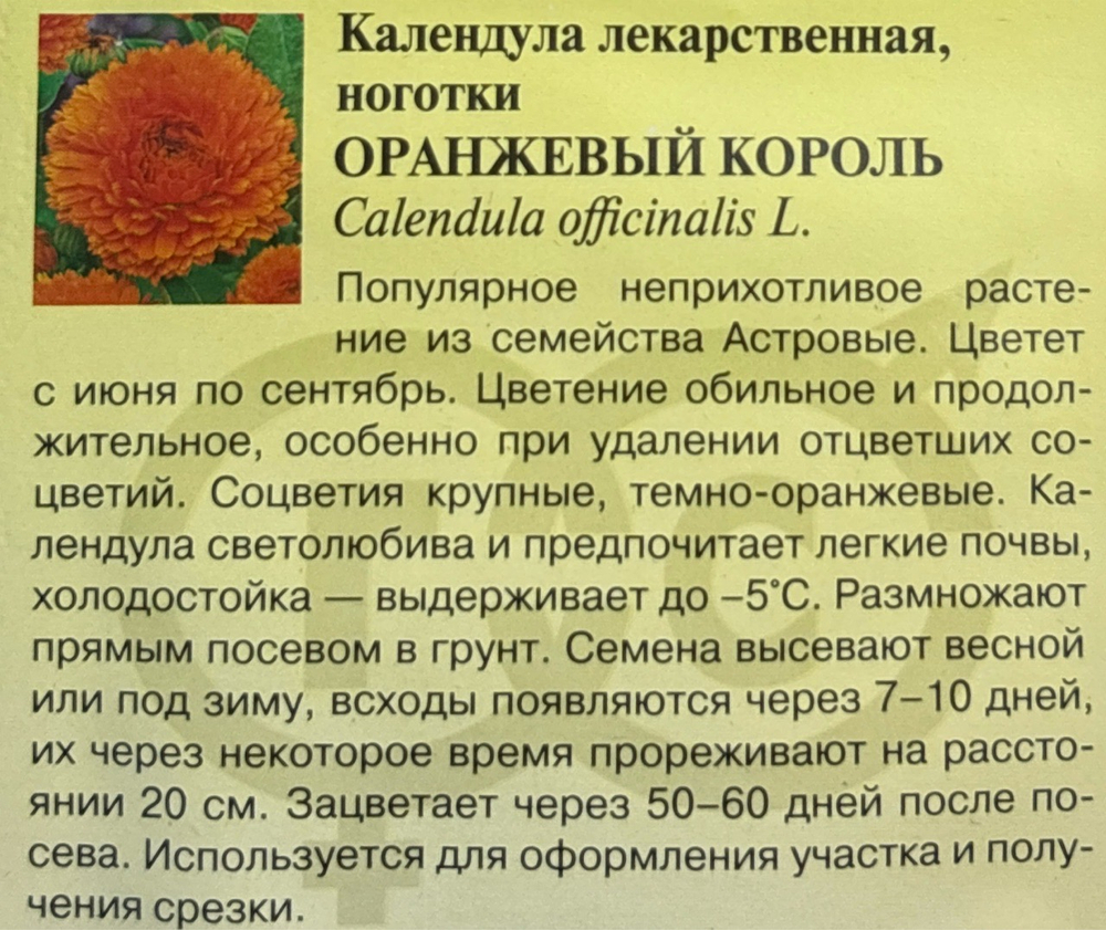 Календула Оранжевый король 0,3 г СМЦ325