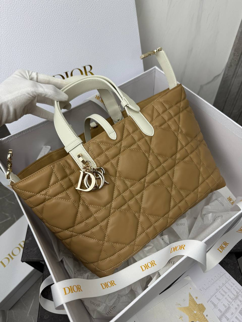 Сумка Christian Dior