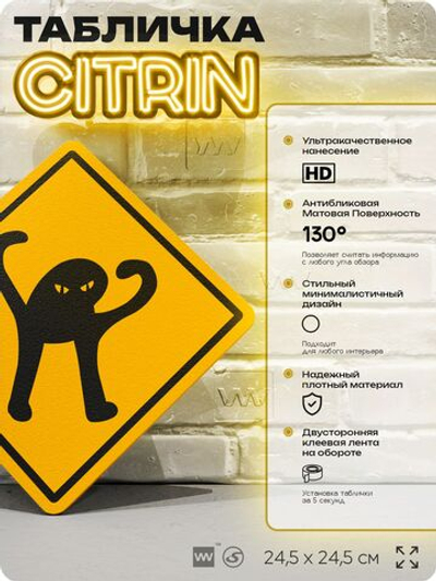Табличка мем "Котуъ" шуточная прикольная табличка на дверь и стену, для офиса и дома, декоративный знак, 24,5х24,5 см, пластиковая, Айдентика Технолоджи