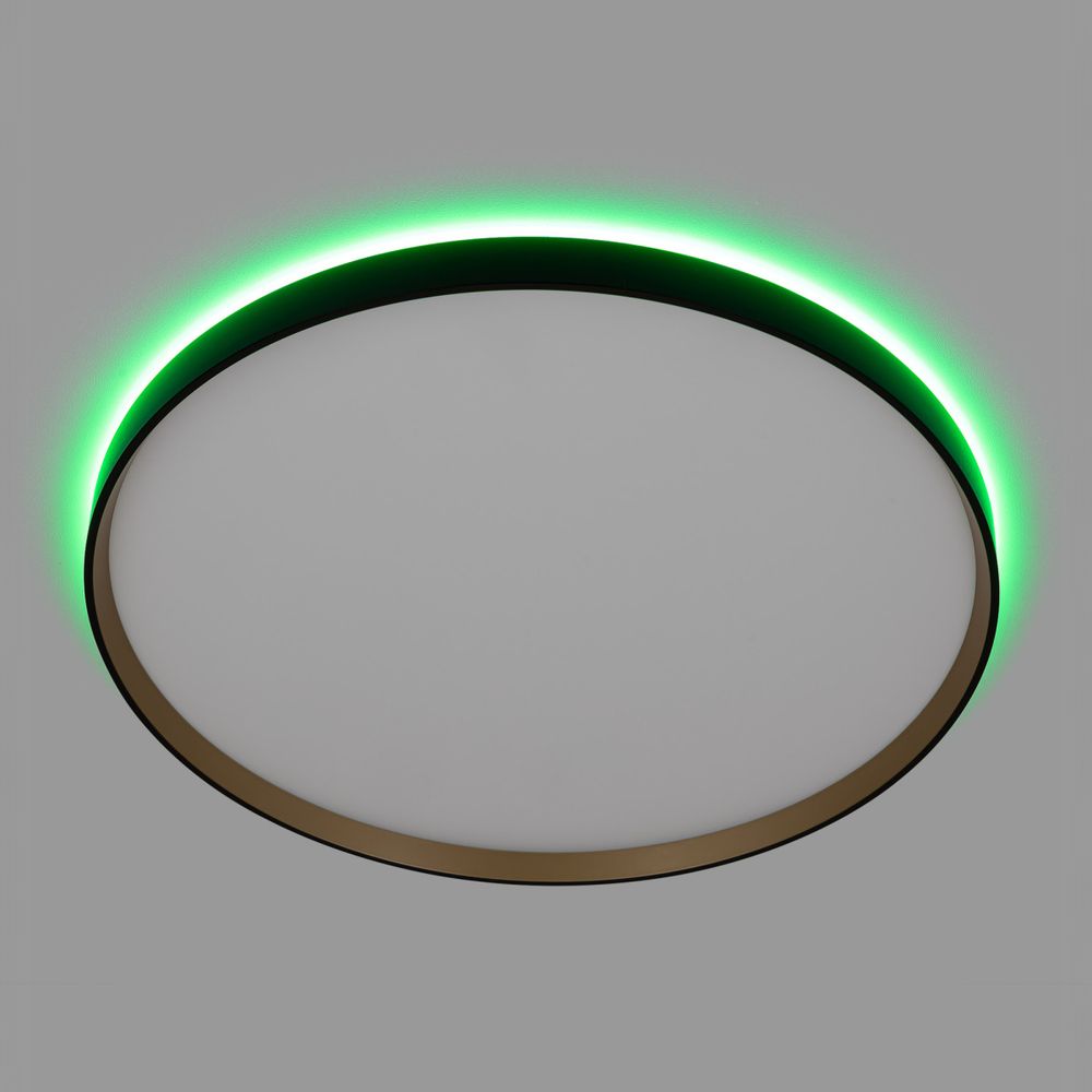 Citilux ETALON CL750501R LED RGB Светильник с пультом Чёрный+Золото