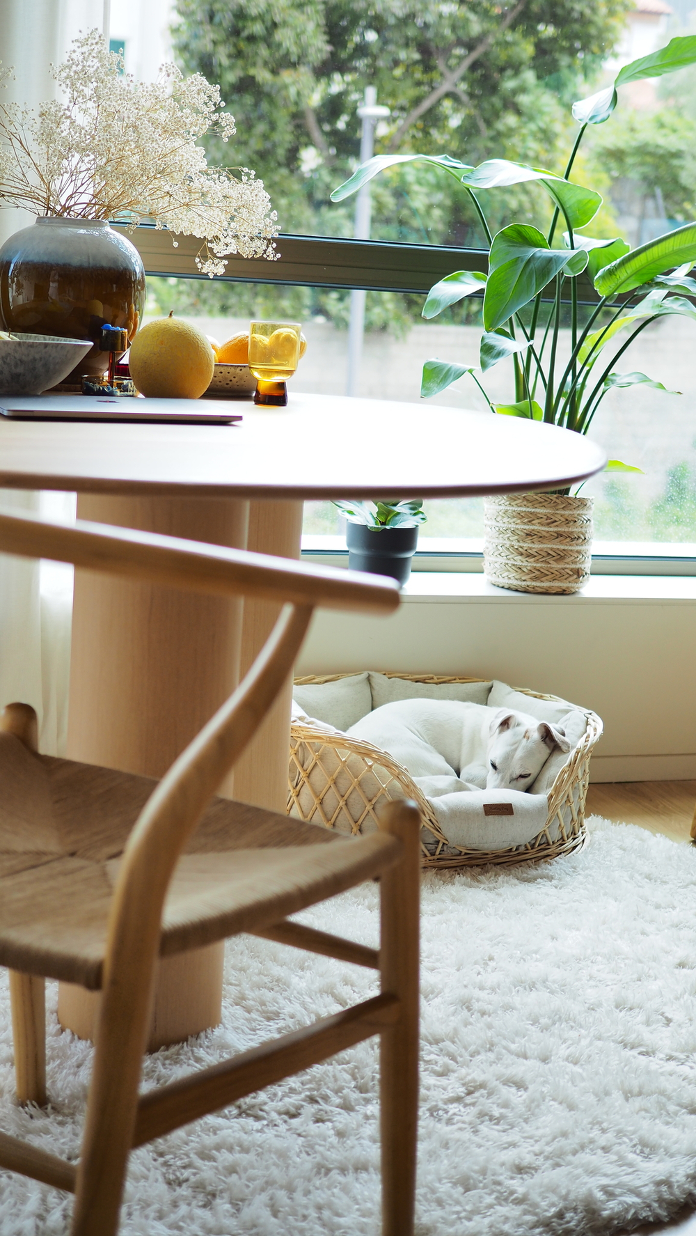 Лежанка из лозы "Пони-Набалкони"